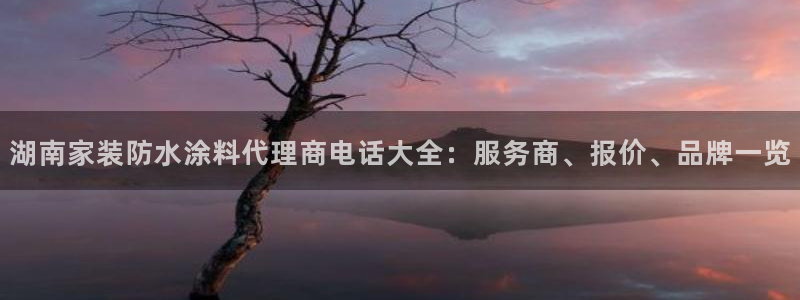 和记 首页：湖南家装防水涂料代理商电话大全：服务商、报价、品牌一览