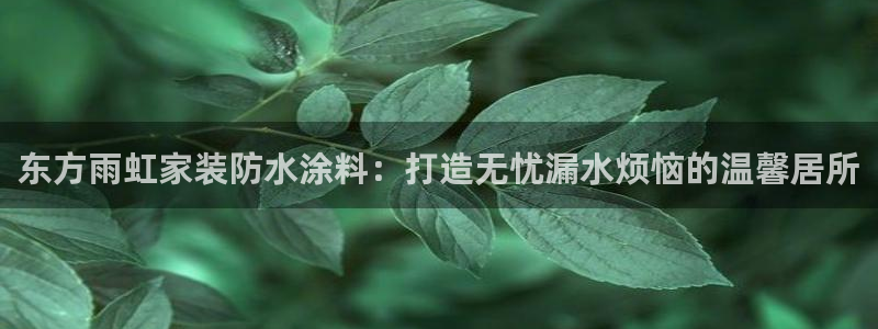和记平台怎么样：东方雨虹家装防水涂料：打造无忧漏水烦恼的温馨居所