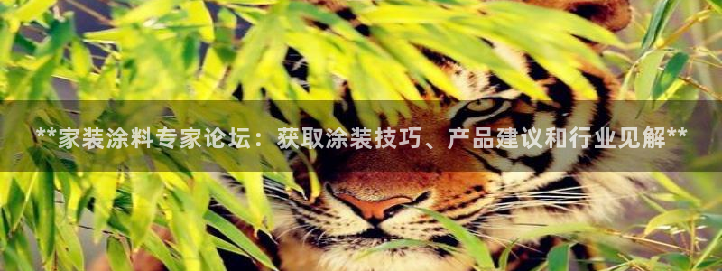 和记国际开户：**家装涂料专家论坛：获取涂装技巧、产品建议和行业见解**