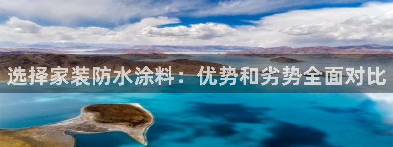 和记(福建)商贸有限公司：选择家装防水涂料：优势和劣势全面对比