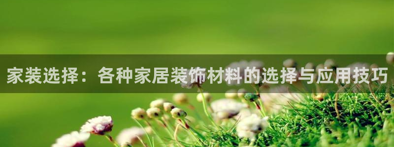 和记广告女主角：家装选择：各种家居装饰材料的选择与应用技巧