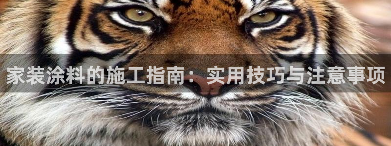 和记paging