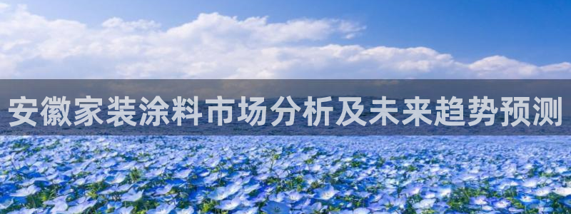 和记旗舰厅：安徽家装涂料市场分析及未来趋势预测