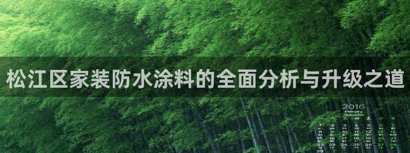 和记官网官方网站：松江区家装防水涂料的全面分析与升级之道