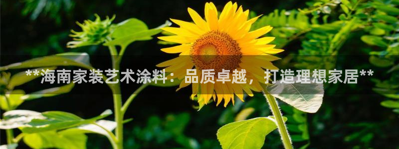 和记平台官方网：**海南家装艺术涂料：品质卓越，打造理想家居**