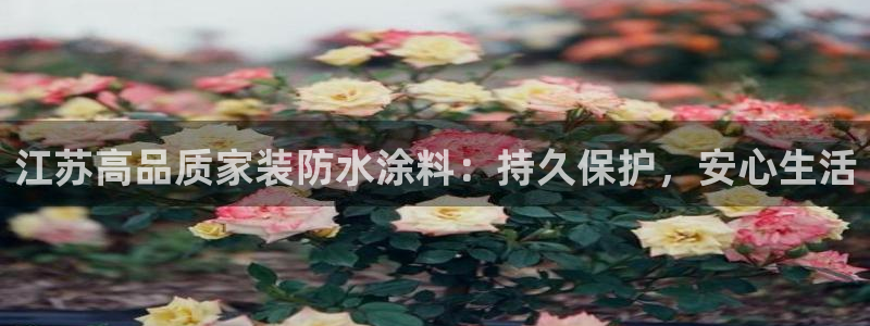 和记官网官方网站：江苏高品质家装防水涂料：持久保护，安心生活