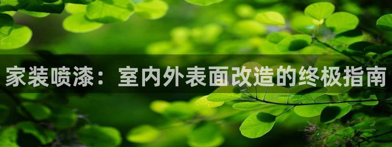 和记官网登陆：家装喷漆：室内外表面改造的终极指南