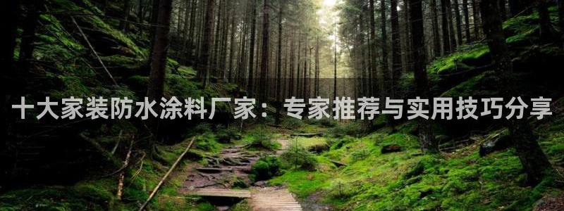和记官方网址：十大家装防水涂料厂家：专家推荐与实用技巧分享