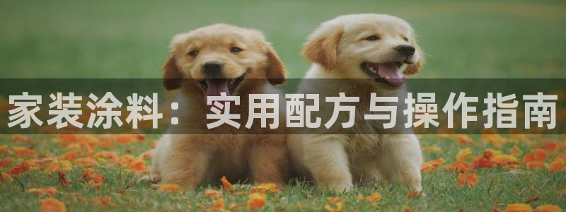 和记平台官方网：家装涂料：实用配方与操作指南
