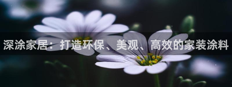 和记ag