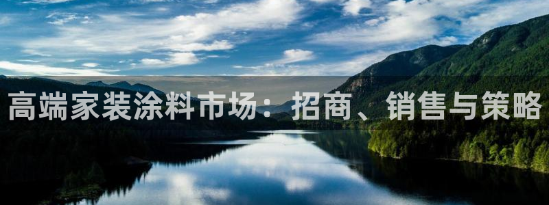 和记ag：高端家装涂料市场：招商、销售与策略