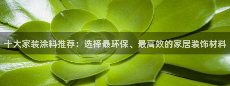 和记官网 公司：十大家装涂料推荐：选择最环保、最高效的家居装