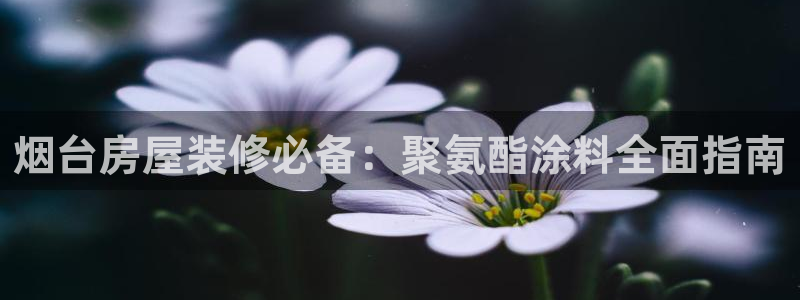 和记ag旗舰：烟台房屋装修必备：聚氨酯涂料全面指南