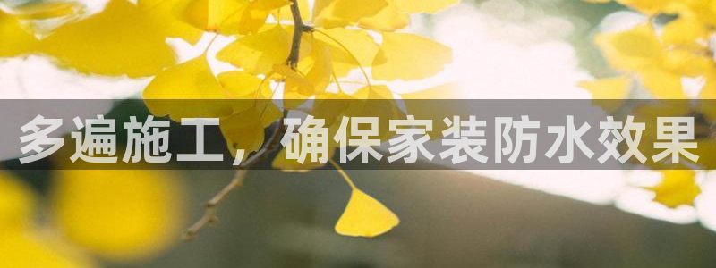 和记官网官方网站：多遍施工，确保家装防水效果