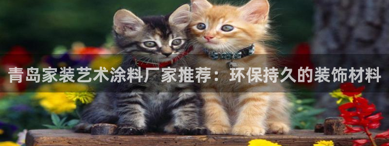 和记网页版：青岛家装艺术涂料厂家推荐：环保持久的装饰材料