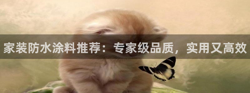 和记网页：家装防水涂料推荐：专家级品质，实用又高效