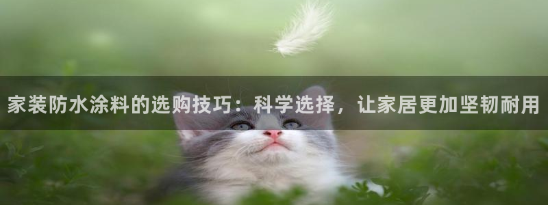 和记平台登录：家装防水涂料的选购技巧：科学选择，让家居更加坚韧耐用