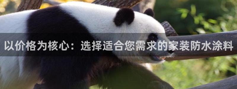 和记广告女主角