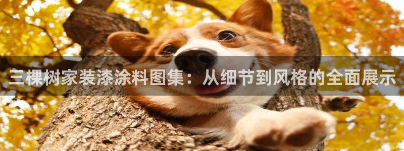 和记5g电讯：三棵树家装漆涂料图集：从细节到风格的全面展示