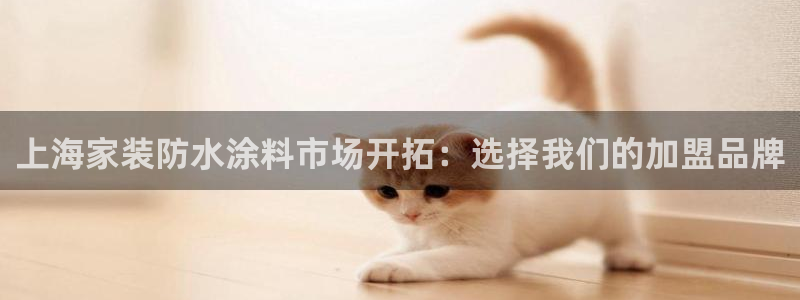和记国际客服：上海家装防水涂料市场开拓：选择我们的加盟品牌