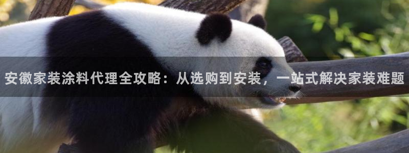 和记旗舰厅：安徽家装涂料代理全攻略：从选购到安装，一站式解决家装难题