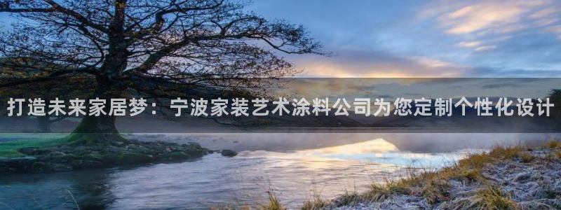 和记Ag：打造未来家居梦：宁波家装艺术涂料公司为您定制个性化设计