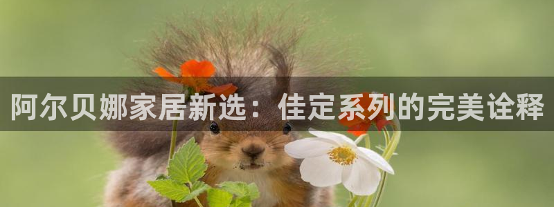 和记平台登陆：阿尔贝娜家居新选：佳定系列的完美诠释
