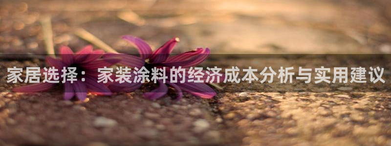 和记平台官网：家居选择：家装涂料的经济成本分析与实用建议
