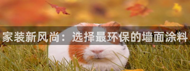 和记国际电讯市值：家装新风尚：选择最环保的墙面涂料