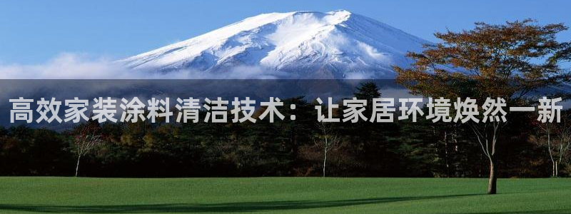 和记ag旗舰厅：高效家装涂料清洁技术：让家居环境焕然一新