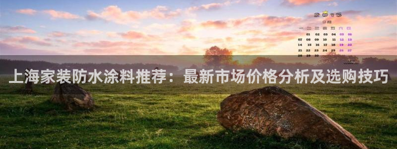 和记pc：上海家装防水涂料推荐：最新市场价格分析及选购技巧