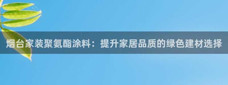 和记国际