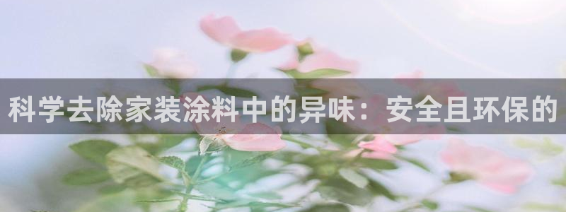 和记平台