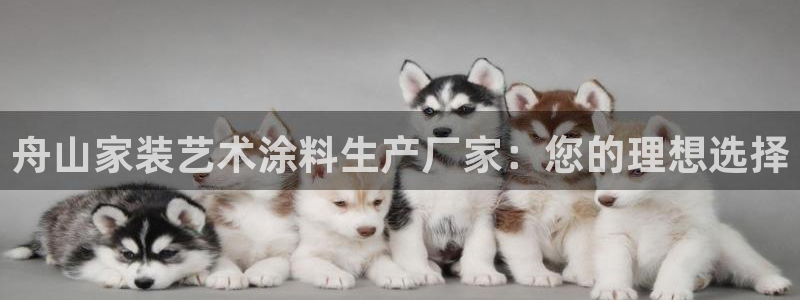 和记娱好网址：舟山家装艺术涂料生产厂家：您的理想选择