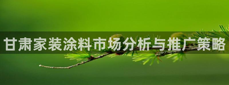 ag和记app：甘肃家装涂料市场分析与推广策略