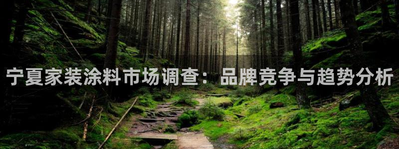 和记官方直营注册：宁夏家装涂料市场调查：品牌竞争与趋势分析