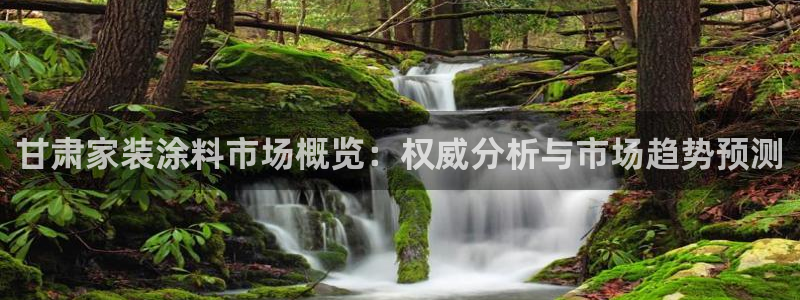 和记官网登录：甘肃家装涂料市场概览：权威分析与市场趋势预测