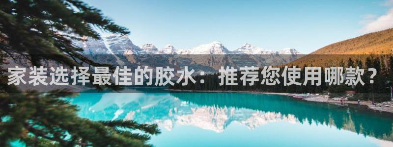 和记官网登陆：家装选择最佳的胶水：推荐您使用哪款？