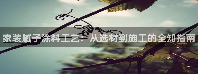 和记ag捕鱼害死多少人：家装腻子涂料工艺：从选材到施工的全知指南