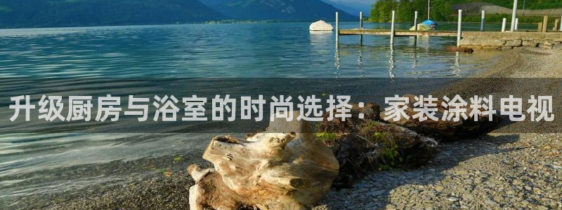 和记登陆：升级厨房与浴室的时尚选择：家装涂料电视
