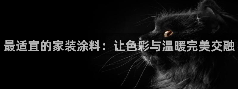 和记h8：最适宜的家装涂料：让色彩与温暖完美交融