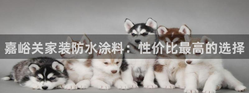 和记国际官网官网