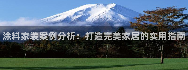 和记国际听：涂料家装案例分析：打造完美家居的实用指南