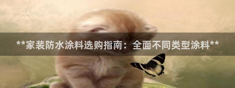 和记paging：**家装防水涂料选购指南：全面不同类型涂料**