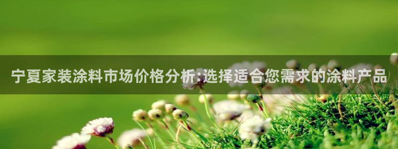 和记广告女主角：宁夏家装涂料市场价格分析:选择适合您需求的涂料产品