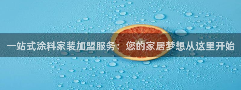 和记官网官方网站：一站式涂料家装加盟服务：您的家居梦想从这里开始