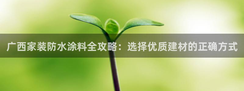 和记国际官网官网：广西家装防水涂料全攻略：选择优质建材的正确