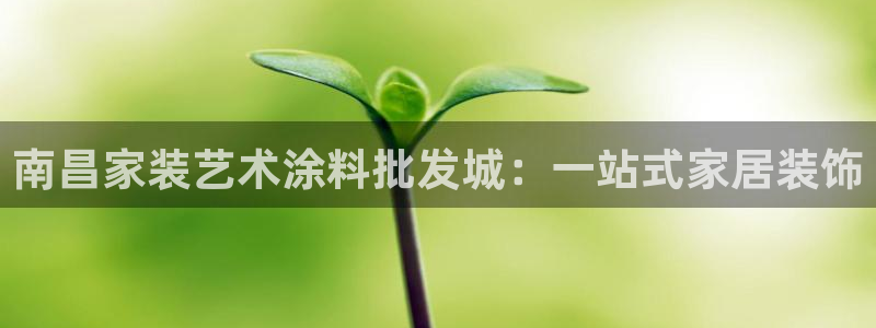 和记网页版：南昌家装艺术涂料批发城：一站式家居装饰