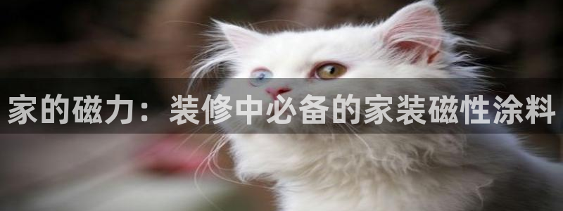 和记国际开户网站：家的磁力：装修中必备的家装磁性涂料