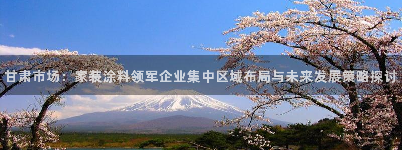 江苏和记数码科技有限公司：甘肃市场：家装涂料领军企业集中区域布局与未来发展策略探讨